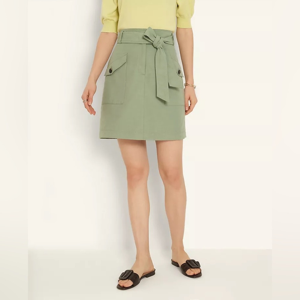 Ann Taylor Skirt Green Women’s Size 12 New with Tags
